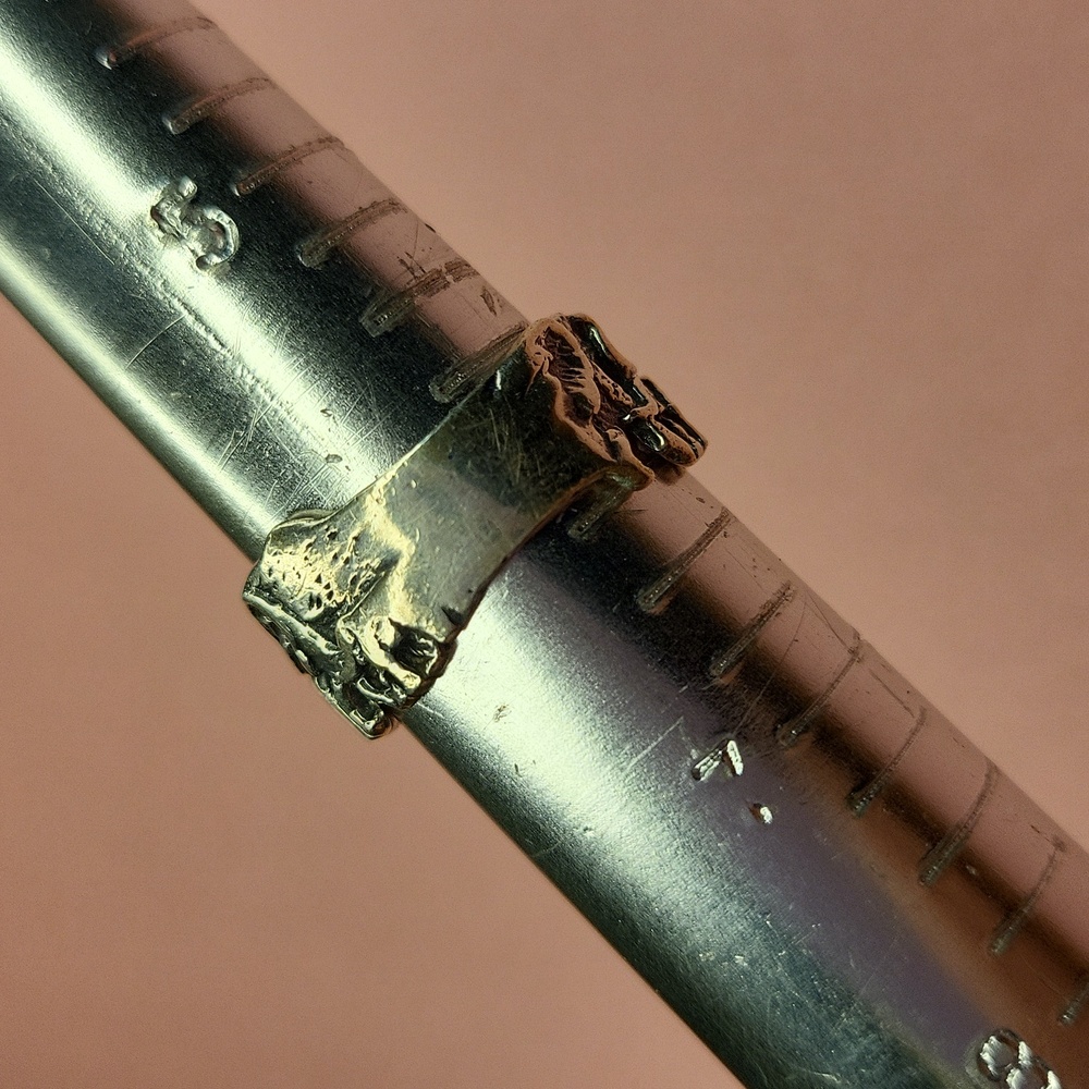 Elephant Ring - image 3